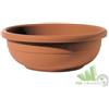 4 PZ VASO BASSO CIOTOLA ROTONDO 70X25 CM PER BULBI PLASTICA COL. TERRACOTTA