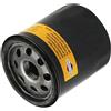 Briggs & Stratton 692513 FILTRO OLIO MOTORE BRIGGS & STRATTON Intek albero verticale Ø65 H75