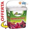 AL.FE Alfe SOLFATO di FERRO → 5 kg Concime Microgranulare Rinverdente Antimuschio BIO