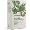 Il Paese Verde Concime Piante Verdi Tropicali 1kg Fertilizzante Naturale Per Cycas Con Azoto