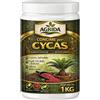 AgriDA Concime Cycas Palme Piante Verdi Lenta Cessione - Microelementi e Ferro Chelato