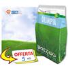 Bottos OLIMPIA → 1 / 5 kg - Tappeto Erboso Miscuglio, Semi Prato Tappeto Erboso