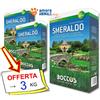Bottos SMERALDO → 1 kg - Sementi Professionali Per Tappeto Erboso, Prato Inglese
