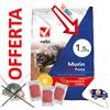 Vebi MURIN FORTE PASTA → 1,5 kg Veleno Esca Topicida Ratticida per Topi e Ratti