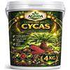 AgriDA Concime Cycas Palme Piante Verdi Lenta Cessione - Microelementi e Ferro Chelato