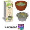 nessuna Tris antizanzare : N.1 STICKS + N.1 BIGBON CITRONELLA coccio e N.1 alluminio