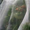 SA.FA COMMERCE Rete ombreggiante anti insetti mosca cimici cavallette lumache ortaggi frutti