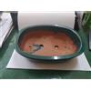 plumeria VASO PER BONSAI IN TERRACOTTA CM 25 ovale con fori per filo