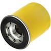 Briggs & Stratton 798319 FILTRO OLIO MOTORE Briggs & Stratton 12S975, 121S75, 124S05 Ø48 H60