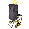 Does not apply ® Carrello Spesa Pieghevole Con 3 Ruote E Seduta, Carrello Portaspesa per Salisc
