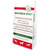 Nutrix Più CROCCHETTE CROCCANTINI PER CANI NUTRIX PIU 20 KG MANTENIMENTO CANE 12 VITAMINE
