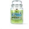 Does not apply Candela Profumata Mojito 510G - Lime E Menta Fresca - 90/100 Ore - Stoppino in L