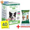 NBF Lanes Bayer MURNIL Plus Tabs 40 / 80 / 120 compresse - Ricambio del pelo dei CANI