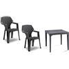 BICA SET DUE SEDIE E UN TAVOLO DA CUCINA, BAR,RISTORANTE, POLROPILENE ITALIANO