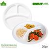 Set Servizio 20 Piatti Biodegradabili Polpa Di Cellulosa 23cm 3 Scomparti dfh