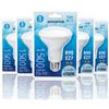 Aigostar Lampadina LED Globo R90 E27 15W Luce Fredda 6500K 1500lm 5 Pezzi