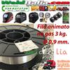 BOBINA FILO ANIMATO SALDATRICE Ø 0,9 MM DA 3,0 KG NO GAS TELWIN PARKSIDE AWELCO