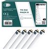 CLAR Tube Fluorescent T5 4W Tube Néon Lampade Fluorescenti Lampadine 13,6 x 1,6 cm (4