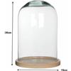 Teca Cupola Campana Vetro Con Base Presepe Diorama Statua Espositore 30x19cm