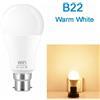 15W WiFi Wifi Smart LED RGB Lampadina 15W Regolabile Alexa Google Casa Control Smartphone
