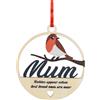 ASVP Shop Pettirosso Regalo Commemorazione Ornamento da Appendere, Natale Robin Ornamento
