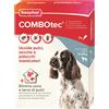 BEAPHAR COMBOtec 10-20 kg 3 Pipett → Antiparassitario Spot on Cani Pulci Zecche Pidocchi