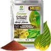 Albagarden Chelato di Ferro EDDHA 6% Microgranulare 10 g - Concime Anticlorosi per Piante, Agrumi, Vite, Orto e Giardino - Riverdente per agricoltura biologica - Efficace anche con pH difficili