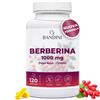 Bandini Berberina 120 capsule vegane 1000mg pura alto dosaggio