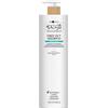 HAIR COMAPNY Shampoo Anticrespo HAIR COMPANY Inimitable Style Frizz Out 1000ml