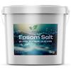 DTP-SOFT 1kg Sale di Epsom | Solfato di Magnesio | Qualità Alimentare | Secchio 1kg