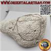 Oriental Art S.a.s. Collana in argento 925 ‰ catenina a maglia snake piatta da 50 cm x 1 mm