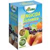 AL.FE. FUNGICIDA SISTEMICO MOMENTUM PFnPE FOSETIL ALLUMINIO 180GR PERONOSPORA GOMMOSI