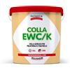 TECNOSTUK - Colla EWC/K (EvOK) 850 gr. - Colla Acrilica Universale per Polistiro