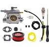 Carburatore A021001700 A021001920 A021001921 Carburatore for Eco CS-370