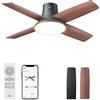 DREO ventilatore da soffitto con luce,12 velocità,3 modalità,motore CC silenzioso,montaggio facile,LED dimmerabile,telecomando e timer 12 h,ventilatore da soffitto nero per casa