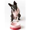 LE CREUSET Piatto per Alimenti per Animali Domestici CANE E GATTO Ciotola...