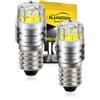 Guangzhou Ruixin Lighting Technology Co. Ruiandsion 2 pezzi 2W COB 3V E10 LED sostituzione lampadina per torcia