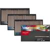 Caran d'Ache Pastel 788376 - Set di matite colorate Artist con 76 penne, carbone e matita Grafwood, alta concentrazione di pigmenti, applicazione cremosa