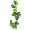 Piante Artificiali Realistiche Di Drago Barbuto Finta Vegetazione