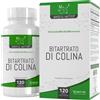 Mindful Matter MM Colina Ad Elevata Potenza da 700mg Choline per Capsula 120 Colina Bitartrato