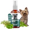 DBLabo Dentifricio Spray per Cani con Salvia Menta e Tea Tree per Alitosi Cane