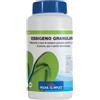 PISCINA SEMPLICE OSSIGENO GRANULARE 1KG