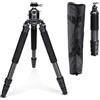 Rollei Treppiede Fotocamera 166cm Rock Solid Alpha Mark III in Carbonio | Professionale Cavalletto Fotografico con Capacità di Carico di 30kg Camera Tripod con Testa a Sfera Nero per Videocamera DSLR