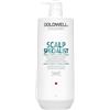 Goldwell Dualsenses Scalp Specialist Deep Cleansing Shampoo 1000ml