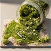 Erba Modellismo e Pietre per Diorama - Erba Finta Statica Fai da Te