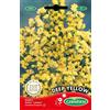 Germisem Sementes Germisem Deep Yellow Semi di Statice 0.5 g