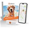 Weenect Dog XS Localizzatore GPS per cani | Mini localizzatore GPS in tempo ...