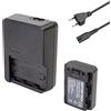 YUEFANSEN Kit Batteria NPFZ100 con Caricabatterie BCQZ1 2280mAh