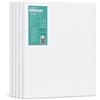 EXERZ 30x40cm Tele Intelaiate 5pz per Pittura per Artisti/Spessore 1.7cm 280G...