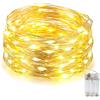 EvaStary Stringa Luci Led a Batteria, 1 Pezzi 10 metri 100 Led Rame filo Cate...